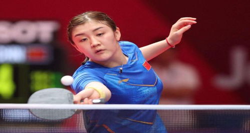 山东男篮的 山东男篮的