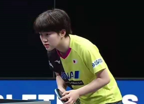 种子被轰8 种子被轰8