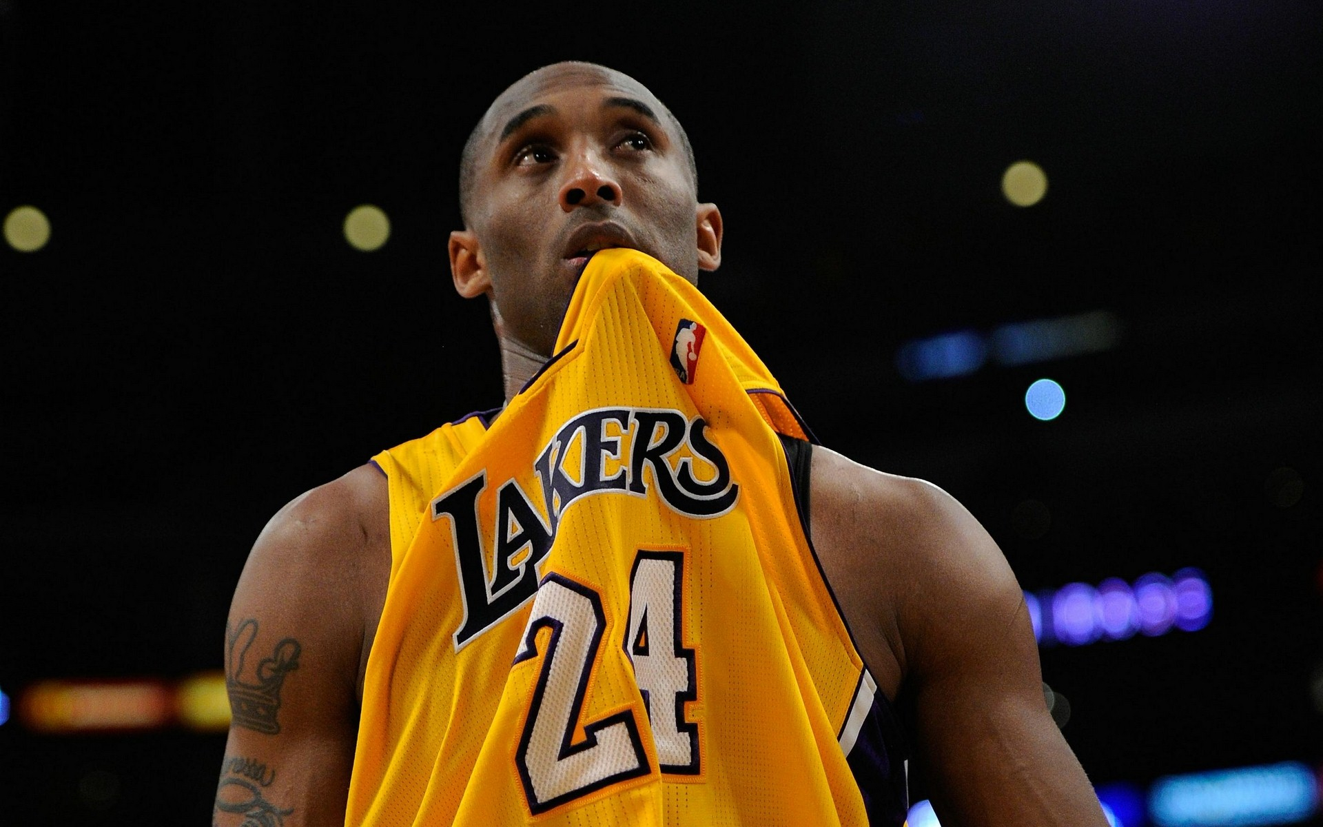 具备了更清 具备了更清